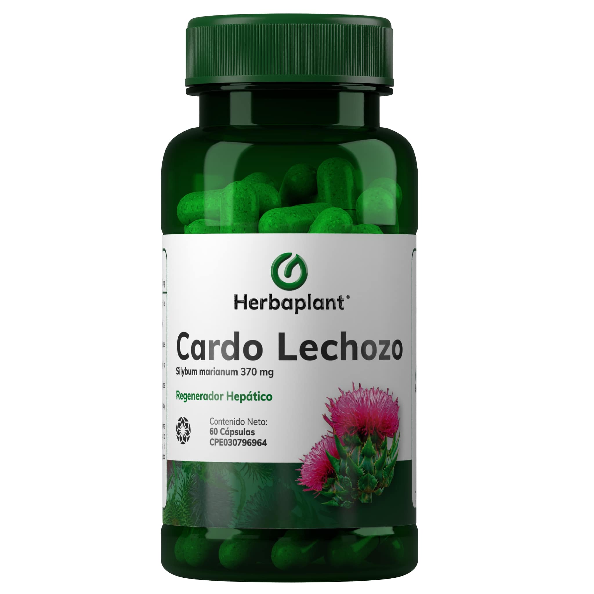 Cardo Lechozo