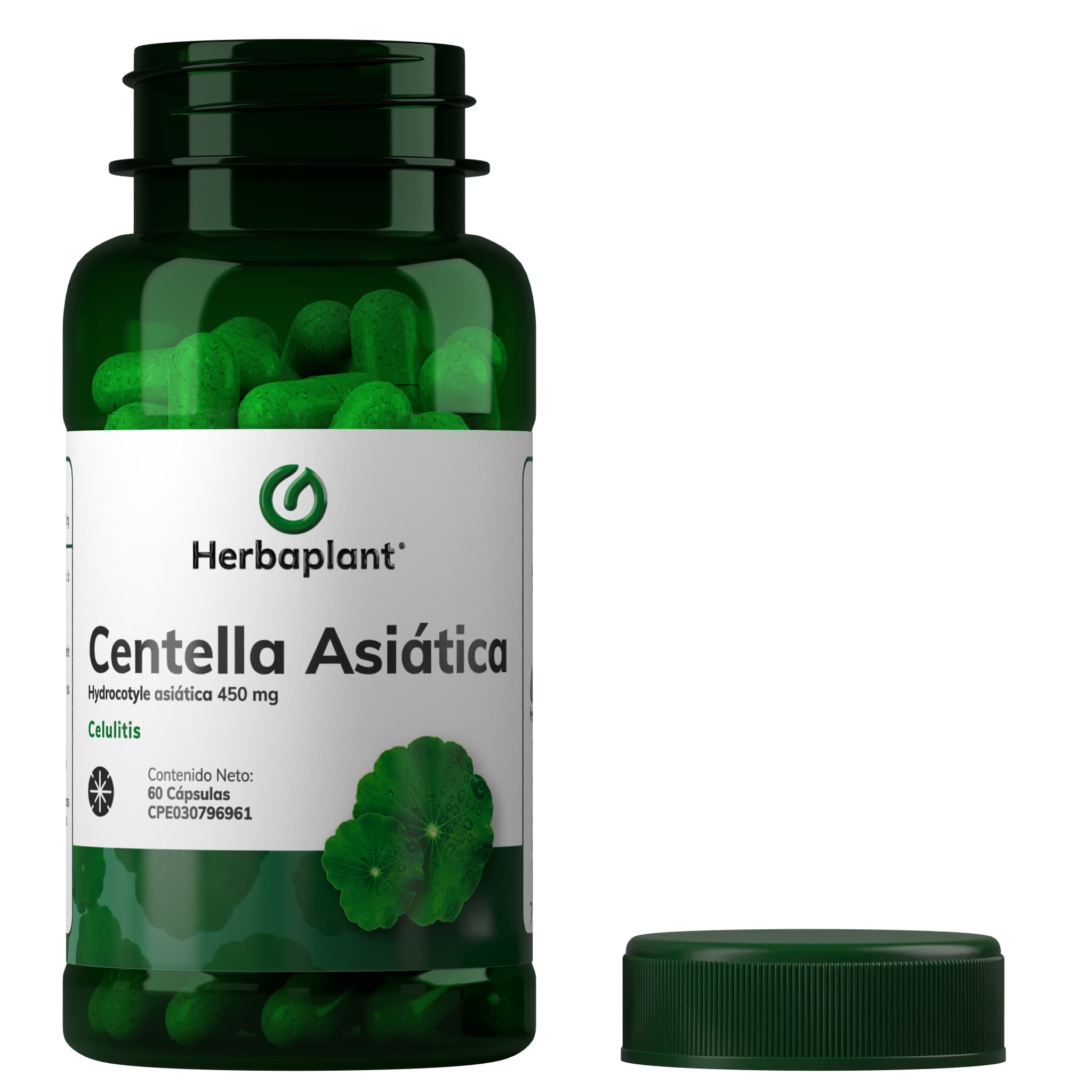 Centella Asiática - Imagen 2