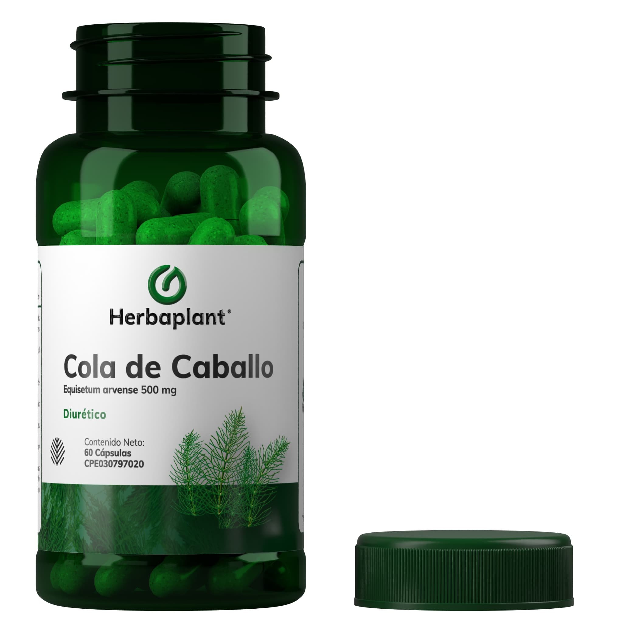 Cola de Caballo - Imagen 2