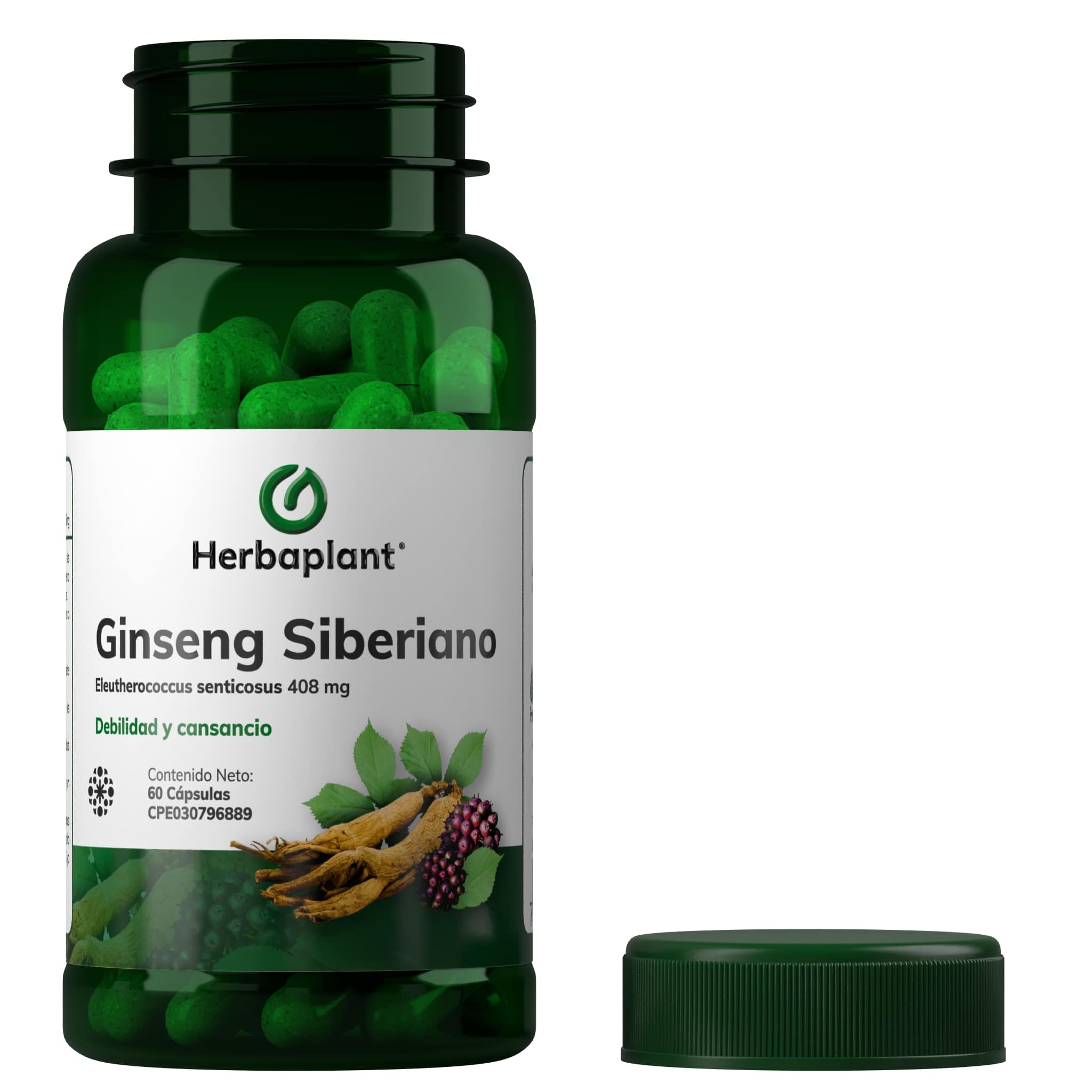 Ginseng Siberiano - Imagen 2