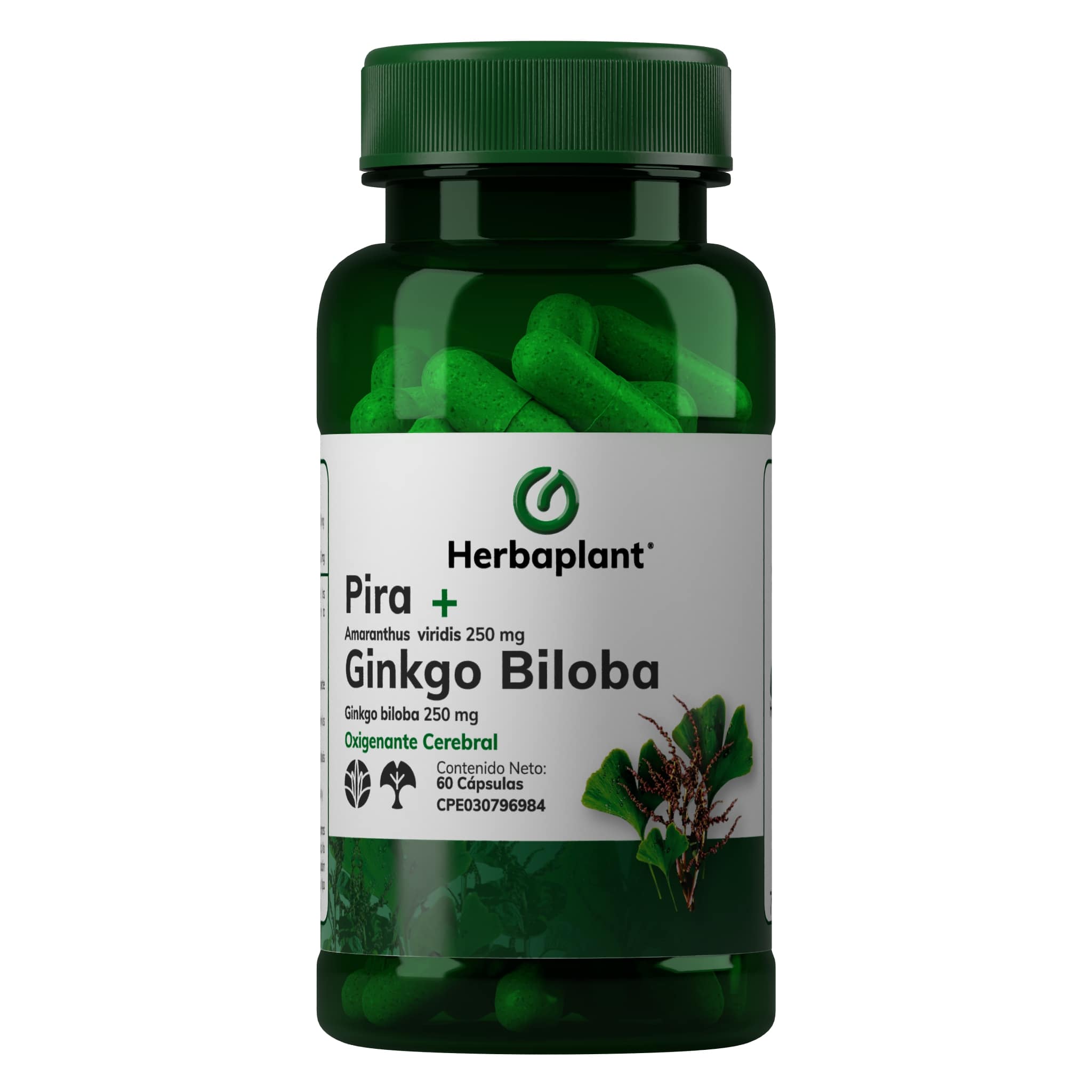 Pira + Ginkgo Biloba