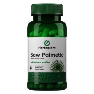 Saw Palmetto