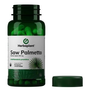 Saw Palmetto