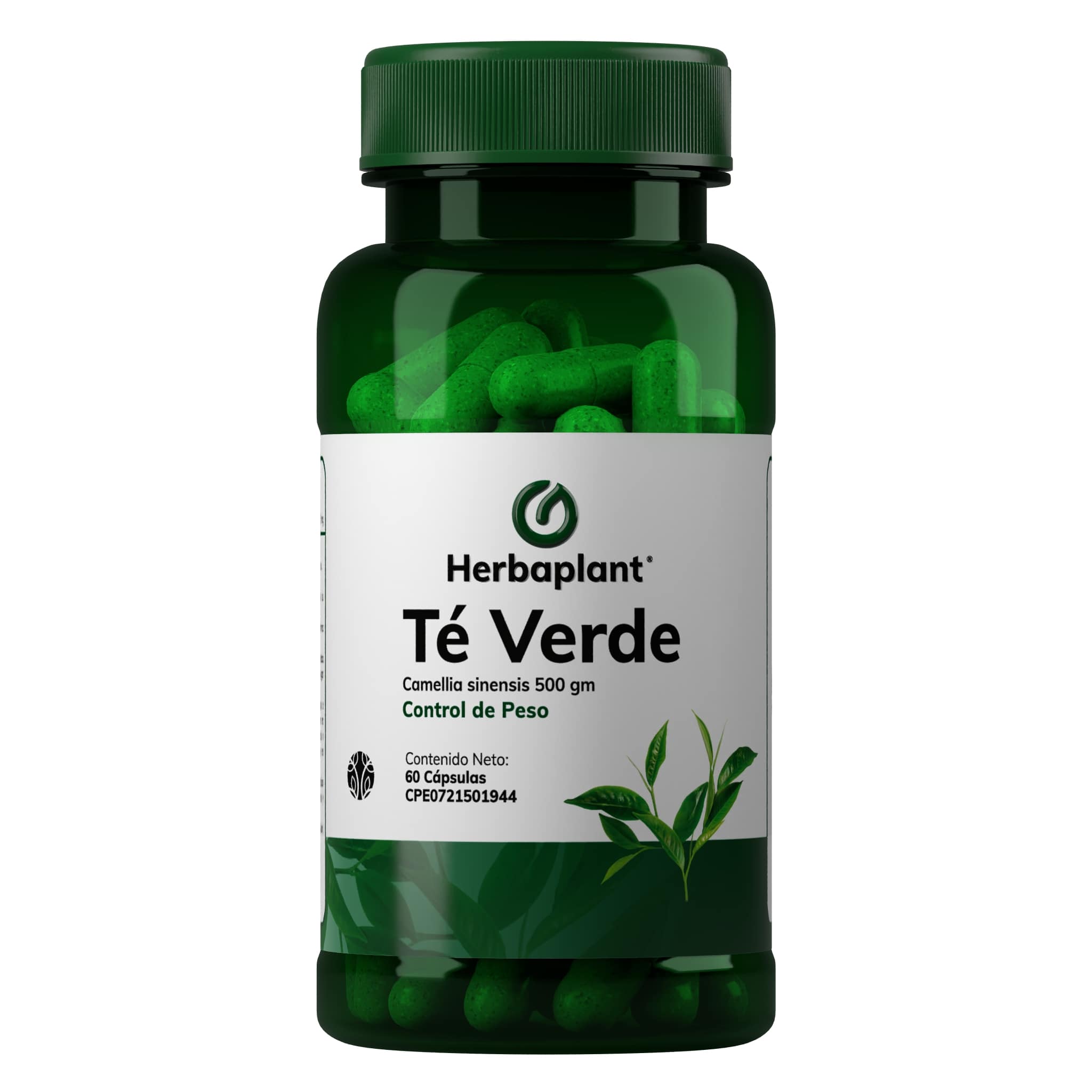 Té Verde
