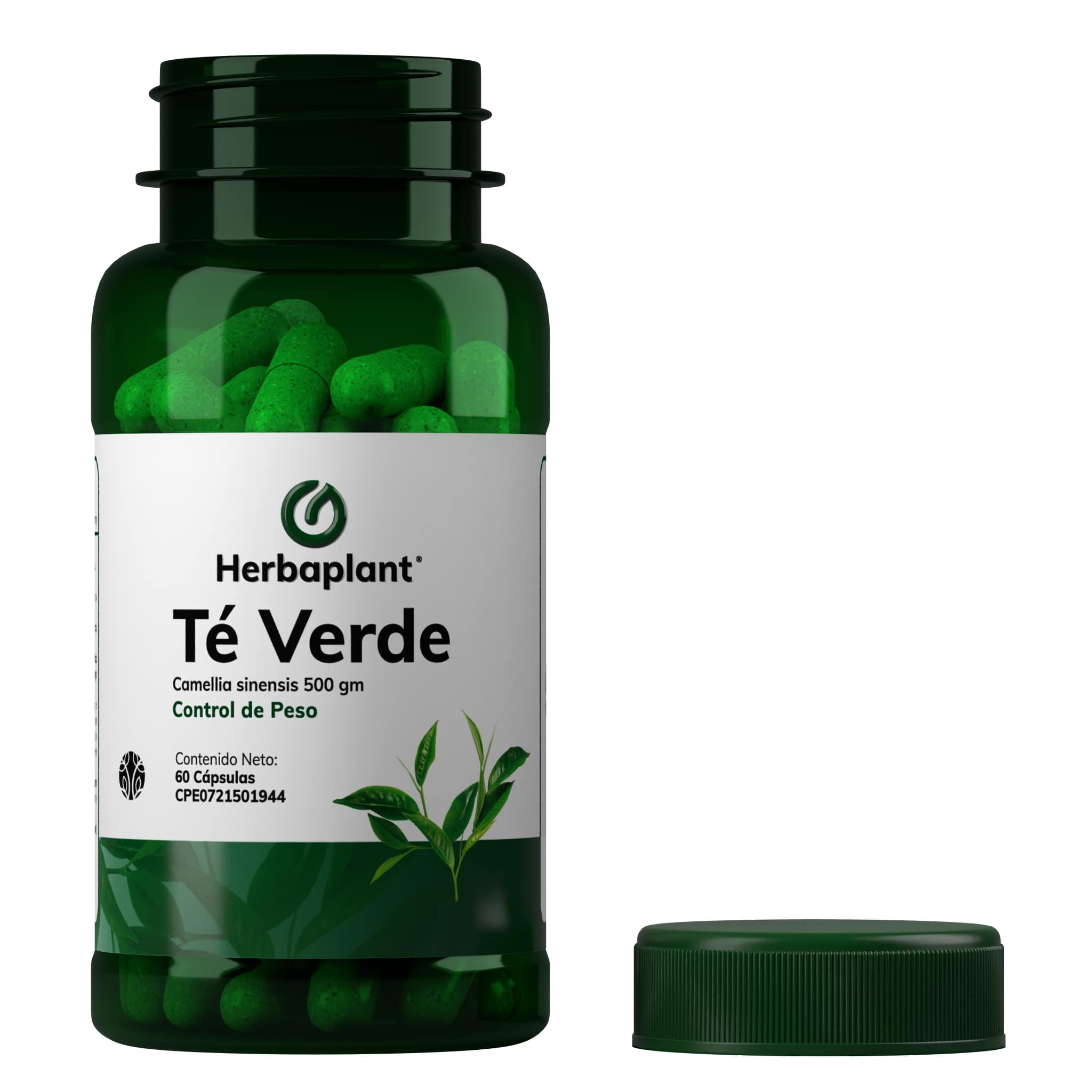 Té Verde - Imagen 2