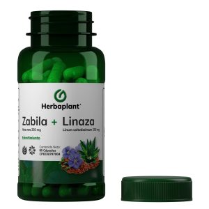 Zábila + Linaza