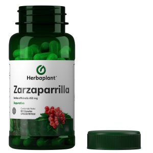 Zarzaparrilla